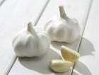  庬  ˤˤ ۥ磻ȼ 1  ˥˥ Ҵޤ   䤵 garlic ڱ ץ󥿡 ֤