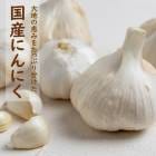 ͽۡ  庬 ˤˤ  1  ̵ ӥ̥ڤӥҴޤ  ˥˥ ߥ  ݡڣܤ缡ȯ