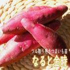 ��ͽ��������� �� �ĥ����� ���Ĥޤ��� �ݥå��� �ʤ�� ��� 9����ݥå��� ���ĥޥ��� �䤵�� �����ڱ� �����ǥ˥󥰡ڣ����Ⱦ���缡ȯ����