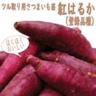 ��ͽ��������� �� �ĥ����� ���Ĥޤ��� �ݥå��� �ȤϤ뤫 9����ݥå��� �٤ˤϤ뤫 ���ĥޥ��� (��Ͽ�ʼ�) �����ڱ�ڣ����Ⱦ���缡ȯ����