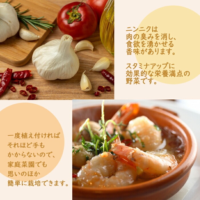 【岡山産】福地ホワイト6辺　香り・栄養満点　料理好き＆健康志向の方へ　6キロ ninam2kg.jpg