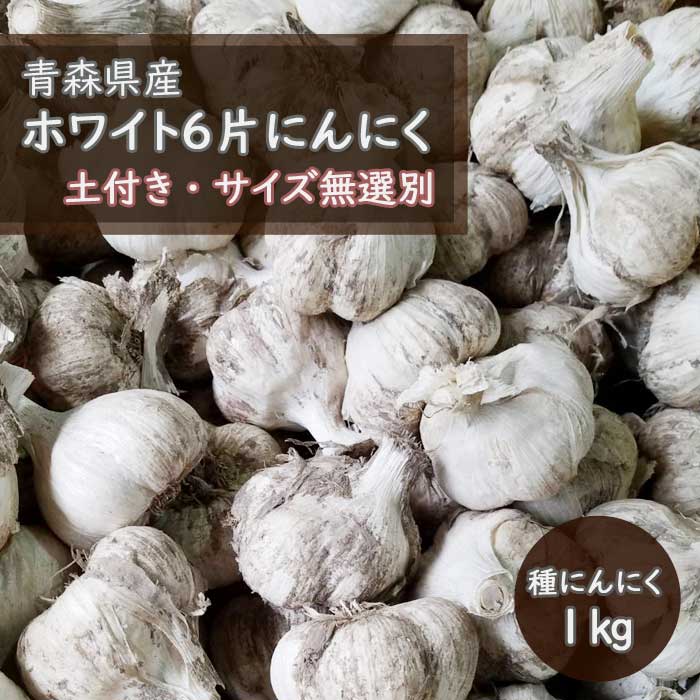 土付き 種 球根 にんにく 青森 福地 ホワイト6片 約1kg 】送料無料