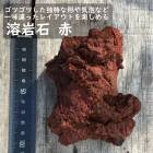 �� �к� �� �ϴ��� �� 1�� �ݥƥ�ꥦ�� �ߺ� �ƥ�ꥦ�� �������ꥦ�� �͵� �ݶ� ��� ���� ����ƥꥢ ���å������ǥ� �̵��� ŷ���� ���ߺ� ������