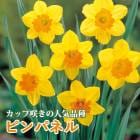 ��10�����ܤ��ȯ�������� ���� �庬 �ԥ�ѥͥ� 2�� ���å׺餭 �������� ������ �ץ�󥿡����� �󤻿��� �֤�����