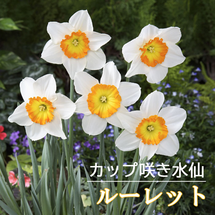 ��10�����ܤ��ȯ�������� ���� �庬 �롼��å� 2�� ���å׺餭 �������� ������ �ץ�󥿡����� �󤻿��� �֤�����