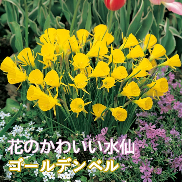 ֤Τ襤 ߥ  庬  ǥ٥ 4  󤻿 ƥ ȭ   ֤