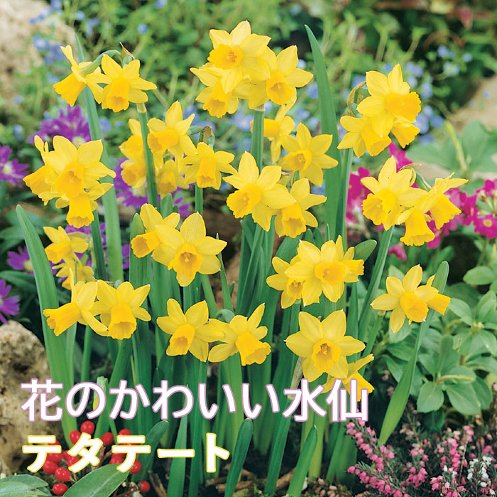 �֤Τ��襤�� �ߥ� ���� �庬 �� �ƥ��ơ��� ��3�� �������� �󤻿��� ����ƥ� ȭ���� ���� ������ �֤�����