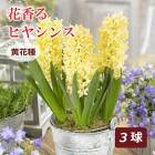 �ֹ�� �ҥ䥷�� �庬 ���ּ� 3�� �������� ˧���� ������ �ץ�󥿡����� ���� ����� �֤�����