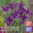 ꥹ 庬  ѡץ 8  󤻿  ǥ˥  鿴Ը ֤