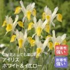 ꥹ 庬  ۥ磻ȡ 8  󤻿  ǥ˥  鿴Ը ֤