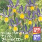 ꥹ 庬  ֥롼 8  󤻿  ǥ˥  鿴Ը ֤