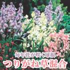 Ĥ꤬  庬 5 äѤʤ  󤻿 ץ󥿡  ǯ֤餯 ֤