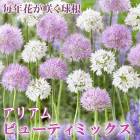 ꥢ ꥦ ӥ塼ƥߥå 庬 4 äѤʤ  󤻿 ץ󥿡 ǯ֤餯 ֤