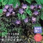 ��ͽ��۽ɺ��� �� ����˥塼�� �������쥤���� 9������󥰥ݥå� �Х�˹礦 ����ä��󤽤� ¿ǯ�� �ڥ�˥���ڣ����Ⱦ���缡ȯ����