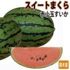 ��ͽ���������� ��� �� ������ �������� �ޤ��� �־��� ������ 9����ݥå� �䤵�� �����ڱ� �����ǥ˥󥰡ڣ����Ⱦ���缡ȯ����