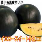 ��ͽ���������� ��� �� ������ ���������������� �����̹��� ������ 9����ݥå� ���� ���� �䤵�� �����ڱ� �����ǥ˥󥰡ڣ����Ⱦ���缡ȯ����