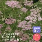 ��ͽ��۽ɺ��� �� �ԥ�ԥͥ� �ޥ衼�� ������ 9������󥰥ݥå� �Х�˹礦 ����ä��󤽤� ¿ǯ�� �ڥ�˥���ڣ�������ܤ��缡ȯ����