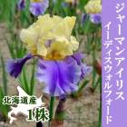  ���㡼�ޥ󥢥��ꥹ �庬 �� �����ǥ���������ե����� ��1�� �̳�ƻ�� ��Ƥ䤹�� ��� ������ �߿���  �֤�����