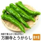 ���� ��� �� ����� �Ȥ����餷 9����ݥå� �䤵�� ����� �ȥ����饷 ���� �����ڱ� �����ǥ˥�