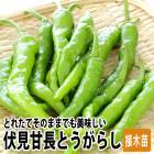 ���� ��� �� 3�� ���å� ������Ĺ�Ȥ����餷 9����ݥå� �䤵�� �ȥ����饷 �����ڱ� �����ǥ˥� ����̵��