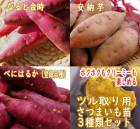 ��ͽ�����ۥĥ����� ���Ĥޤ��� �� 3�糧�åȡڤ٤ˤϤ뤫 (��Ͽ�ʼ�)+�ʤ�ȶ��+��Ǽ�� ��1��=���3�� ��9����ݥå� ����̵����4���Ⱦ���缡ȯ����