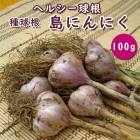   庬  ˤˤ 100  ˥˥  ˤˤ garlic  䤵  ڱ ֤