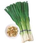 ͽۡ  庬 դˤˤ  100 ƿ  ˥˥   å garlic ڱ ץ󥿡 ݡڣܤ缡ȯ