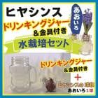 ҥ䥷  å ɥ󥭥󥰥㡼   ֥롼 庬 å ƥꥢ Ѿ ֤