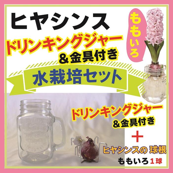 ҥ䥷  å ɥ󥭥󥰥㡼 ⤤  ԥ 庬 å ƥꥢ Ѿ ֤