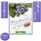  ϥݥͥå ꡼ ֥롼٥꡼ 30(103)  ñ  ڤ֤ blueberry