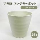 �ץ�ȭ �ե쥰�顼�ݥå� ���ʡ�24��  ���顼�������ܥ꡼