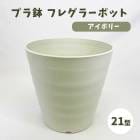 �ץ�ȭ �ե쥰�顼�ݥå� ���ʡ�21��  ���顼�������ܥ꡼