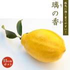 ���� ���� ���ι� 15����ݥå� (��Ͽ�ʼ�) ��Τ� ���� ���� ������ ���ȷ���� lemon ����̵��