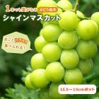 ֥ɥ  㥤ޥå 13.515cmݥå (Ͽʼ)  ̼ ƺ ޤ ̵ 2ǯ