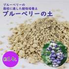 ֥롼٥꡼ڡ14åȥ ٥꡼ berry    ֥롼٥꡼  ǥ˥  ֥롼٥꡼