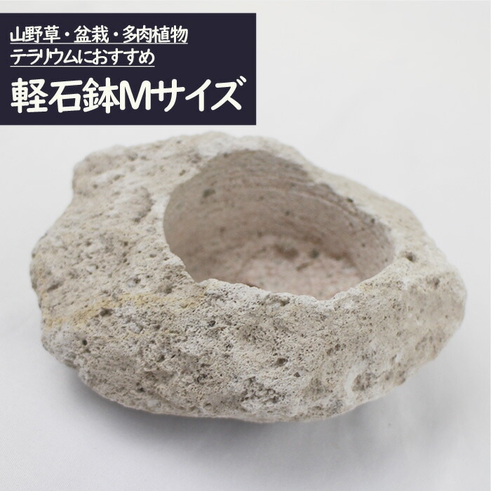 軽石鉢 Mサイズ 苔テラリウム 盆栽 テラリウム アクアリウム 人気 苔玉