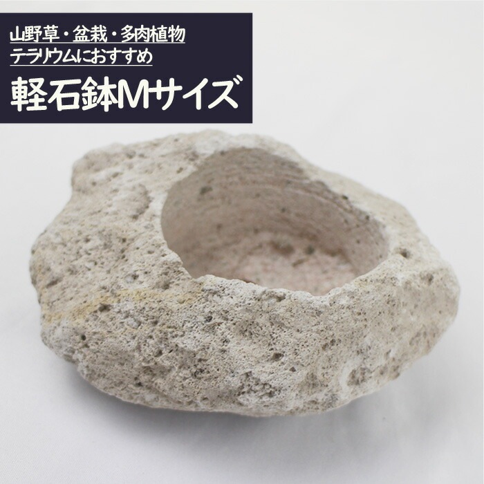 ウミノモリ様専門軽石鉢 ウミノモリ様専用軽石鉢 桜島軽石を盆栽鉢にしよう！／Let's use