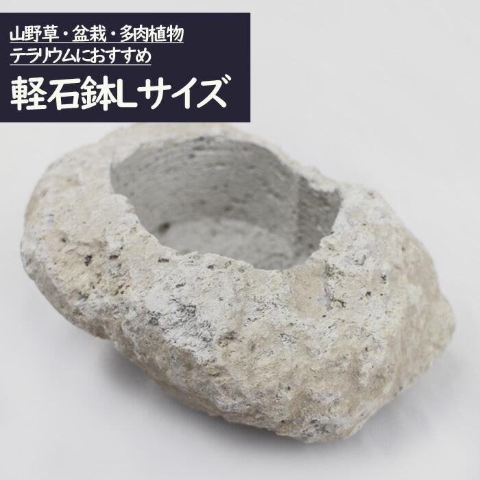 軽石鉢 Lサイズ 苔テラリウム 盆栽 テラリウム アクアリウム 人気 苔玉