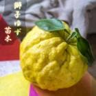 �椺 ���� ��Ҥ椺 15����ݥå� 2ǯ�� ���� ���� ������ �����ǥ˥� ��� ͮ�� ���ȷ���� ����̵��