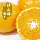 �ߤ��� ���� ��Ƿ�� 15����ݥå� ���� ���� ������ ���ȷ���� �����ǥ˥� �ߤ��� ���  (��Ͽ�ʼ�)