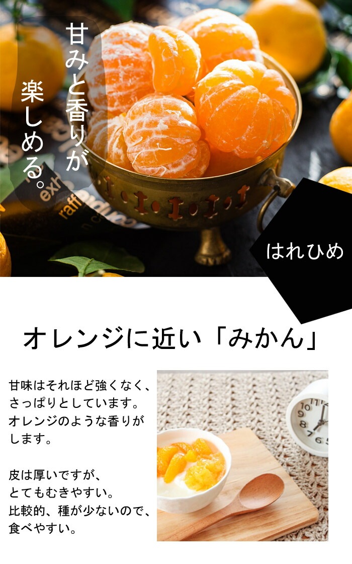 みかん 苗木 はれひめ 15cmポット 接木 柑橘 柑橘苗 ミカン 自家結実