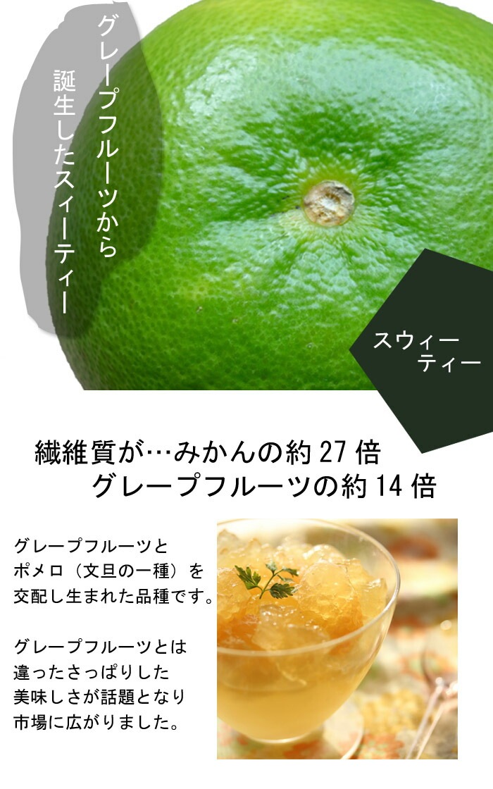 柑橘 苗木 スウィーティー 15cmポット グレープフルーツ スイー