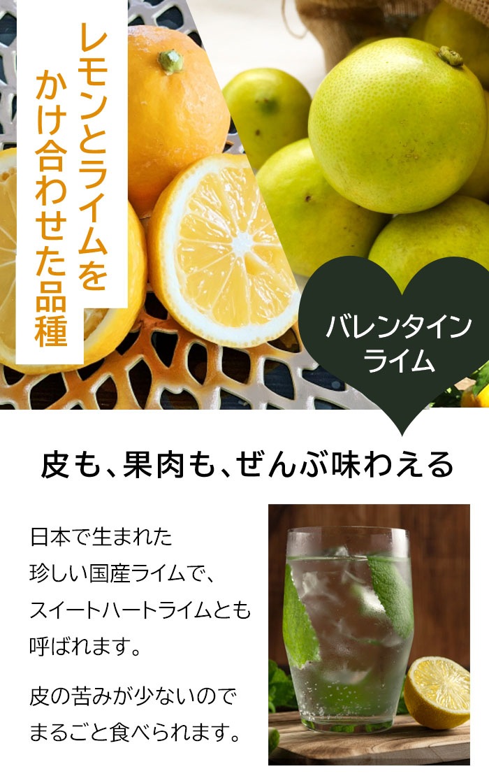 ライム 苗木 バレンタインライム 15cmポット 接木 自家結実性 lime