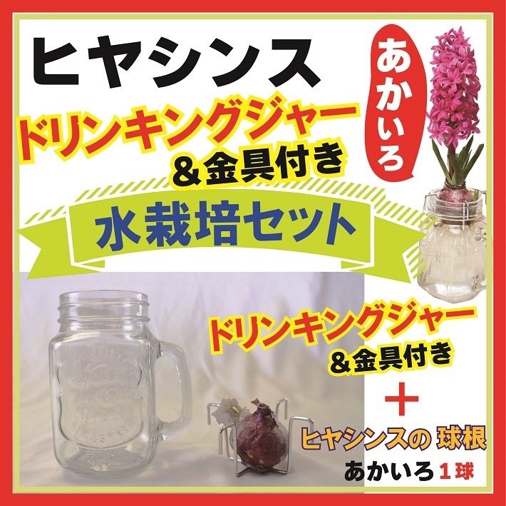 ҥ䥷  å ɥ󥭥󥰥㡼   å 庬 å ƥꥢ Ѿ ֤