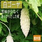 ��ͽ���������� ��� �� �� ������ 9����ݥå��� ��̣�����ʤ� �챻 �˥����� �䤵�� ���� �����ڱ� �����ǥ˥󥰡ڣ����Ⱦ���缡ȯ����