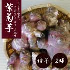 ��ư� ( ��餵�� �������� ) �� �庬 2�� �����ڱ� ���� ��� ����Ԥ� ���� ��� �֤�����