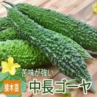 ���� ��� �� ��Ĺ ������ 9����ݥå��� ��̣������ �챻 �˥����� �䤵�� ���� �����ڱ� �����ǥ˥�