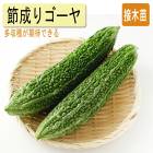 ��ͽ���������� ��� �� ������ ������  9����ݥå��� ¿���� �챻 �˥����� �䤵�� ���� �����ڱ� �����ǥ˥󥰡ڣ����Ⱦ���缡ȯ����