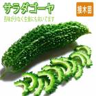 ��ͽ���������� ��� �� ����� ������ 9����ݥå� �������� ��̣�����ʤ� �챻 �˥����� �䤵�� ���� �����ڱ� �����ǥ˥󥰡ڣ����Ⱦ���缡ȯ����