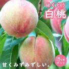 �� �� ���� ( �Ϥ��Ȥ� ) ���� ���� 15����ݥå� 1ǯ�� ���� �̼� �� ��ʴ��ɬ�� ����̵�� ��� ��� ���� �����ǥ˥� ���